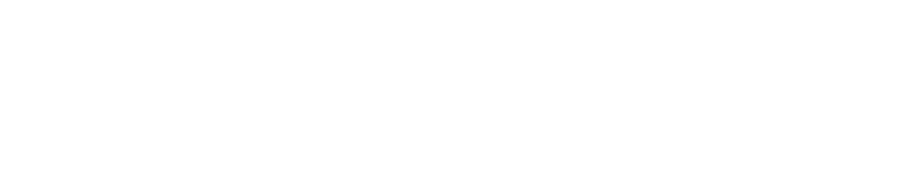PSS_logo_white_200x50.png